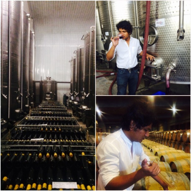 Vrushal Kedari, Assistant wine maker at Fratelli Wines, a graduate of oenology from Napa, whose passion for wine is matched by his knowledge.