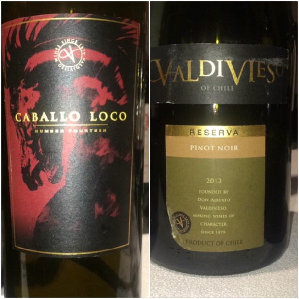 Valdivieso Wines from Chile 