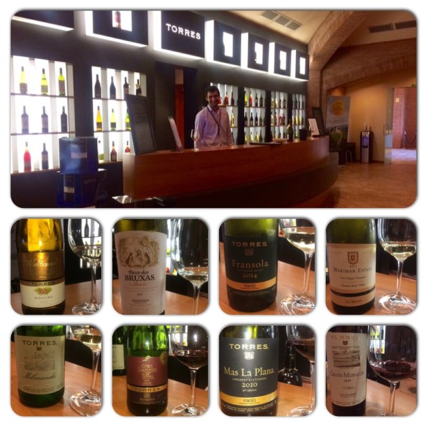 Tasting Room at Torres Winery 