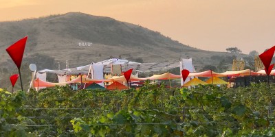 Sula Fest at Sula Vineyards, Nashik Maharashtra.