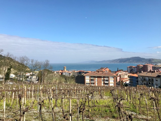 Txakoli: Unique Wine of the Basque Country – High On Wines